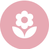 Gelatinized <br>Maca Extract